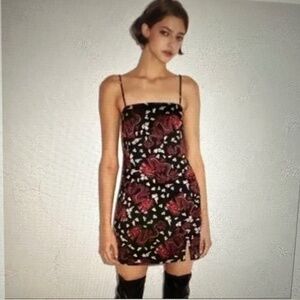 Zara Dragon Print Mini Dress. NWOT